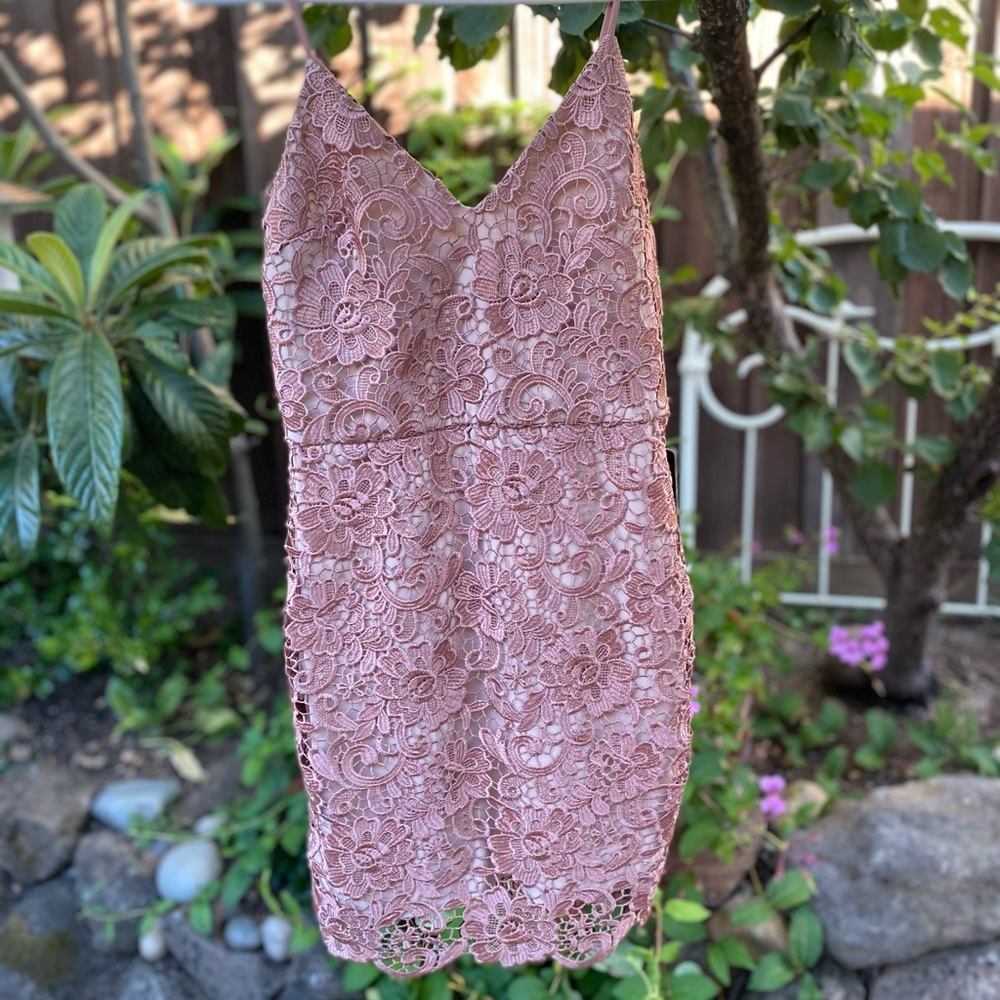 Express lace dress 4 | tag still on!